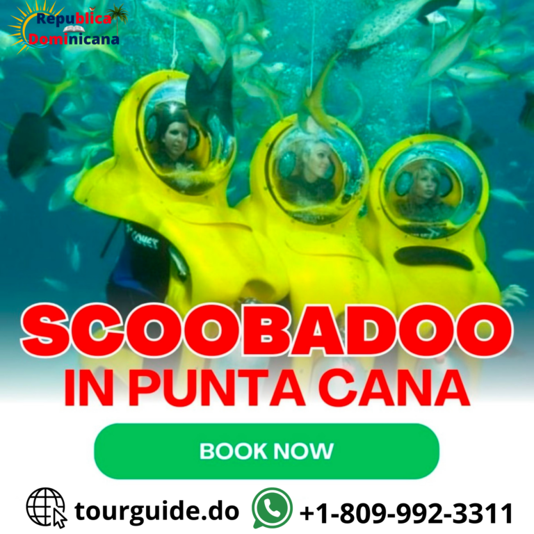 ScoobaDoo Punta Cana: Walk Underwater Without Diving Experience